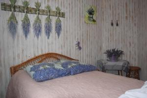 Double Room room in Kvitkovyi Rai