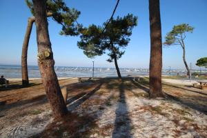 Maisons de vacances Grande villa bassin d’Arcachon, spacieuse et lumineuse 10 personnes : photos des chambres