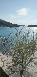 Gorgones, sea-front, great view Messinia Greece