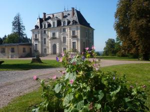 Campings Cabane Perchee dans les Arbres : photos des chambres