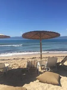 Paralia Ofrinio - Beach Apartments - 奥弗里安