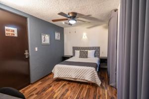 Economy Double Room room in Hotel delf-inn