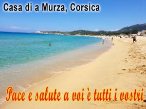 Appartements Casa di a Murza : photos des chambres