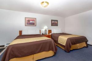 Queen Room with Two Queen Beds - Mobility Access/Non-Smoking room in Travelodge by Wyndham Casper