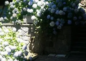 La Villetta In Montagna - Vivo dʼOrcia