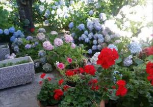 La Villetta In Montagna