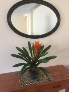 Squareville Subdivision