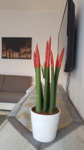 XX Settembre Matera - Apartment