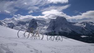 Appartements Le Valentin : Appartement avec Vue sur la Montagne
