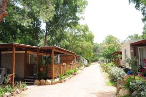 Villaggio Camping Torre Salinas img78