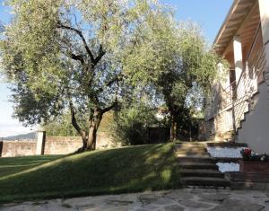 Freddy Holiday House