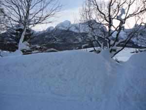 Ferienwohnung Ronacher