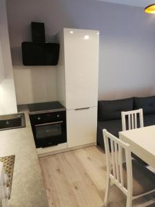 Apartament Centrum Więckowskiego