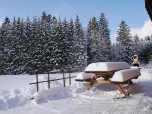 Chalets Chalet au bord du lac de Longemer : photos des chambres