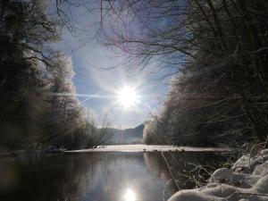 Chalets La jonquille jacuzzi et sauna : photos des chambres