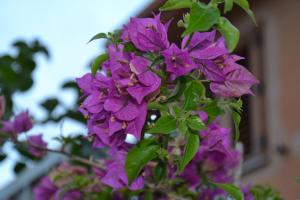 Confortevole appartamento a pochi passi dal mare img7