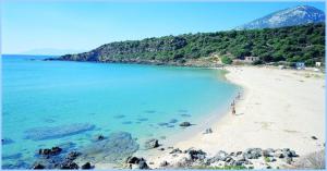 Confortevole appartamento a pochi passi dal mare img22