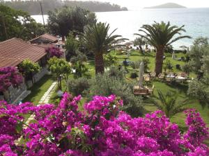 Angeliki Beach Hotel Skiathos Greece