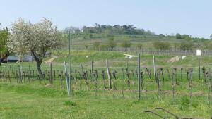 Gästehaus Fischbach