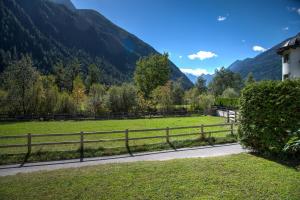 Ferienwohnung Scheibe