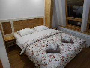 Apartamenty Pod Różami