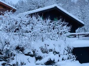 Chamonix Chalets : photos des chambres