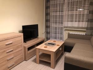 Apartament na Zielonej parter