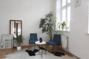 Apartament na modrzejowskiej pełen sztuki i zieleni