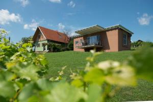 obrázek - Ferienhäuser im Weingarten