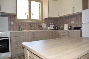 Modern Apartment with Garden