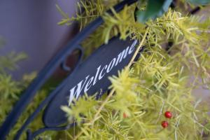 Apartment Garden Terrace 