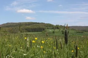 FeWo Litzendorf - Scheßlitz