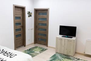 Central apartment- Shumis