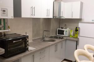 Central apartment- Shumis