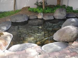 Kurhaus Ishibashi Ryokan