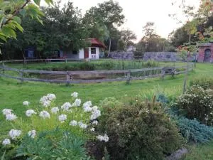 Babie Lato - Włodarka