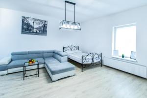 Penguin Rooms 3150