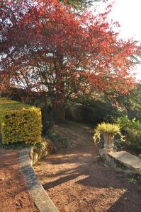 B&B / Chambres d'hotes Les Jardins de l'Hacienda : photos des chambres