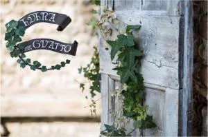 EDERA dei Guatto - Codroipo