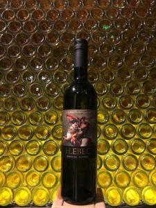 Turistična kmetija HLEBEC