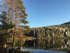 The Green House Guesthouse