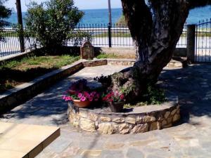 Aegialis - 3hvězdičkové hotely ve městě Skala Kallirakhis