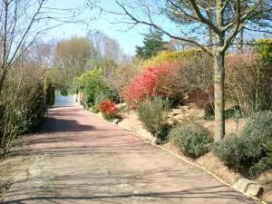 马斯杜特意松住宿加早餐旅馆 - 勒皮圣博内
