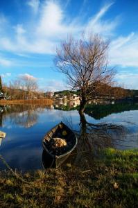 Apartments Bogunovic