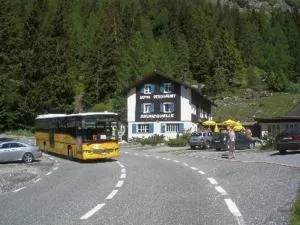 Hotel Rhonequelle - AllʼAcqua Ospizio