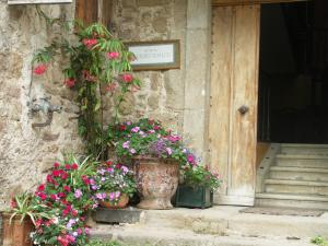 Domaine du Peyron