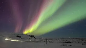 达尔绍夫迪宾馆 - 教堂城