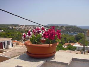 Ikos Studios and Apartments Alonissos Greece