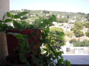 Ikos Studios and Apartments Alonissos Greece