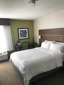 Queen Room - Disability Access room in Holiday Inn Express Memphis Medical Center - Midtown an IHG Hotel